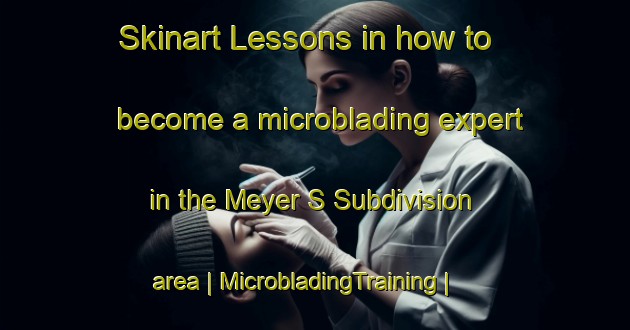Skinart Lessons in how to become a microblading expert in the Meyer S Subdivision area | MicrobladingTraining | MicrobladingClasses | SkinartTraining-United States